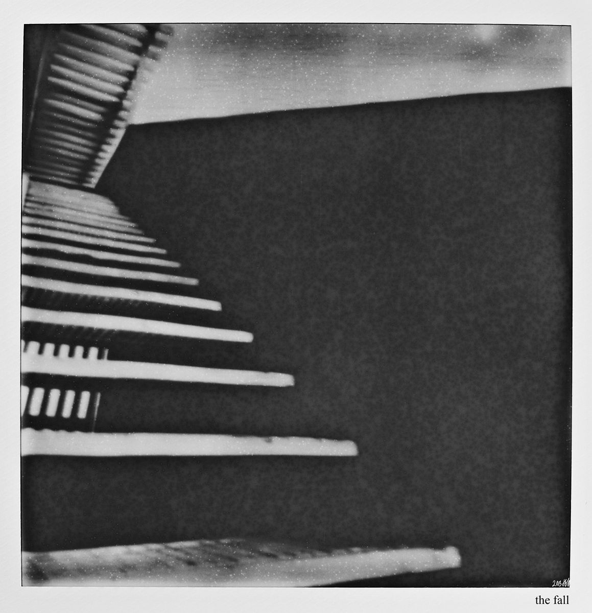 Amygdala the fall polaroid