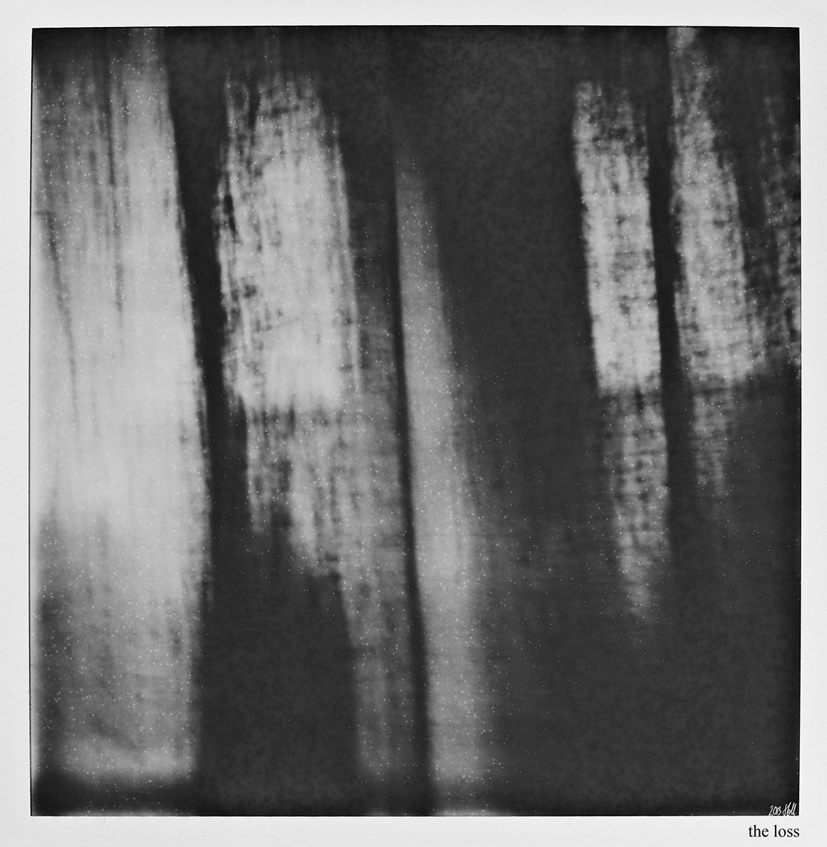 Amygdala the loss polaroid